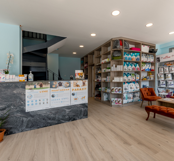 Antalya_AirBNB_Çekimi_1